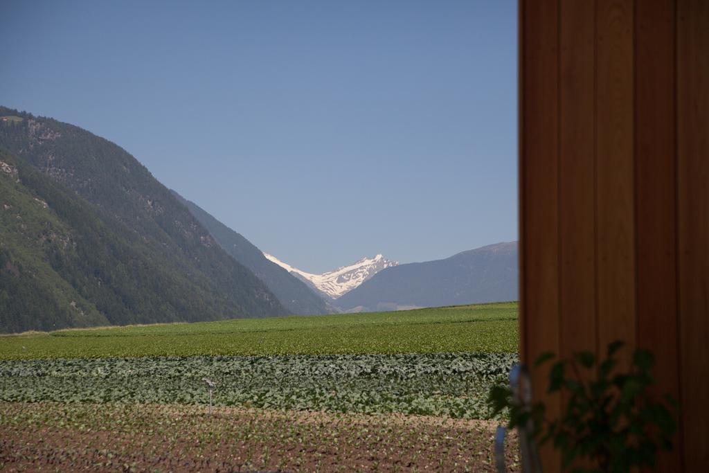 Apartment Winklerhof